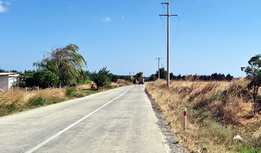 Tekirdağ'da Akıma Kapılan 30 Leylek Öldü