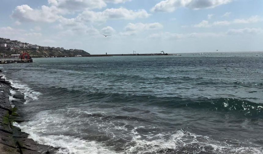 Tekirdağ'da fırtına hayatı olumsuz etkiledi