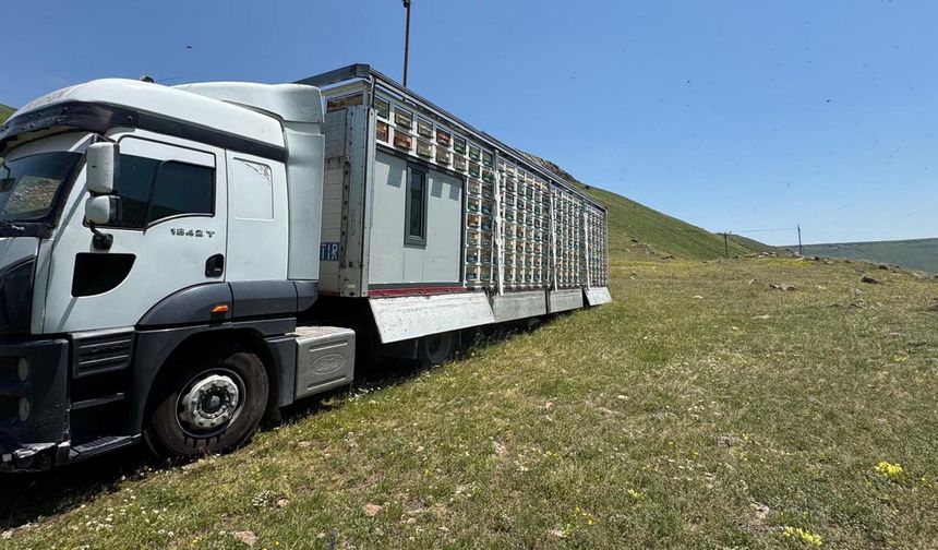TIR dorsesi mobil bal üretim tesisi oldu