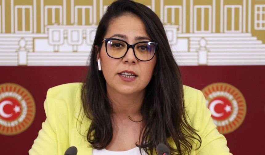Sera Kadıgil hakkında ‘Cumhurbaşkanına hakaret’ ve ‘Tehdit’ suçlarından soruşturma