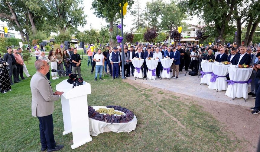 Bağbozumu ve pekmez kaynatma geleneği yaşatılıyor