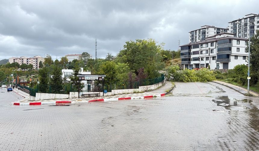 Bartın'da kuvvetli rüzgar etkili oldu