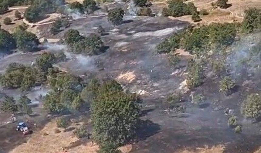 Bursa’da anız yangını paniği