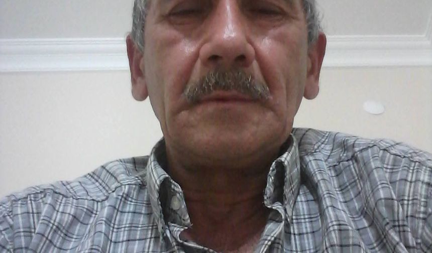 Kesilen ağacın dalının çarptığı işçi hayatını kaybetti