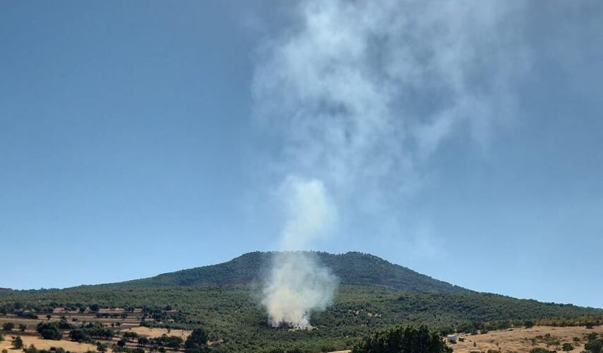 Mihalıççık'ta orman yangını