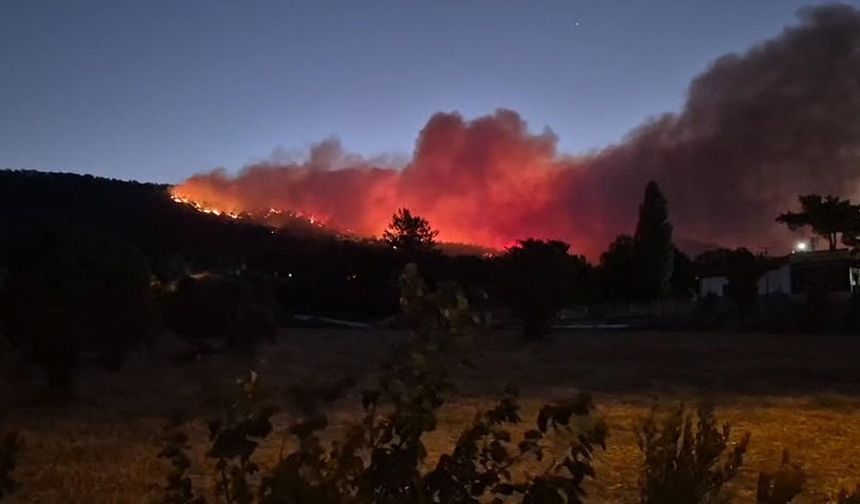Muğla'da orman yangını çıktı