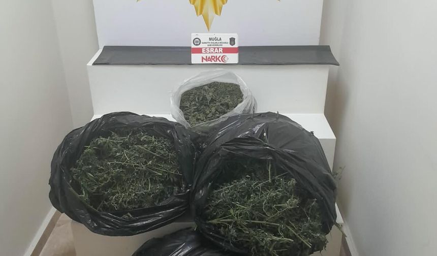 Muğla'da uyuşturucu operasyonu