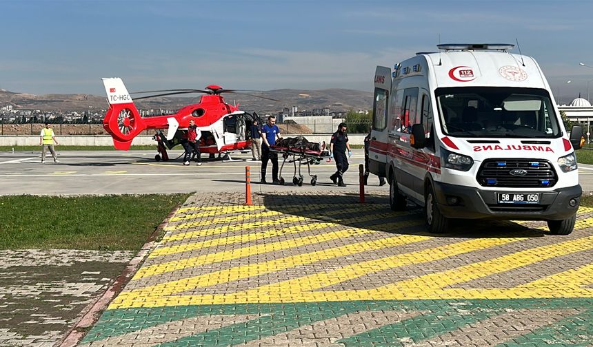 Sivas'ta ayı saldırısı