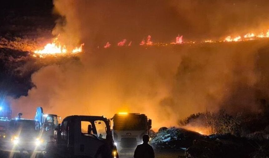Bodrum’da makilik alandaki yangın kontrol altına alındı