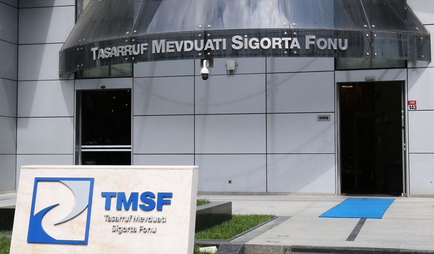 Tera Yatırım Teknoloji Holding’e TMSF Kayyumu Atandı