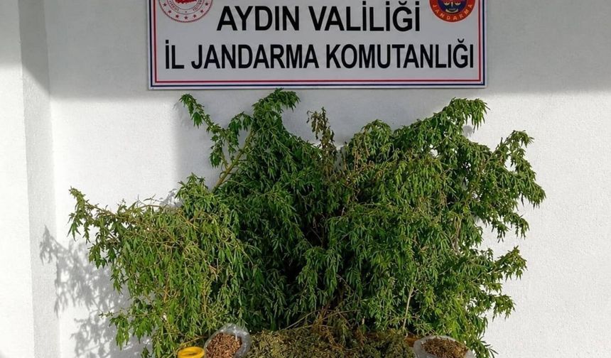 İncirliova'da Uyuşturucu Operasyonu