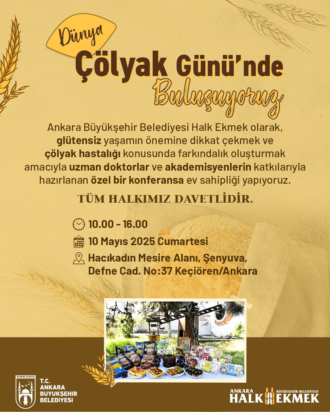 Çölyak Abb Etkinlik