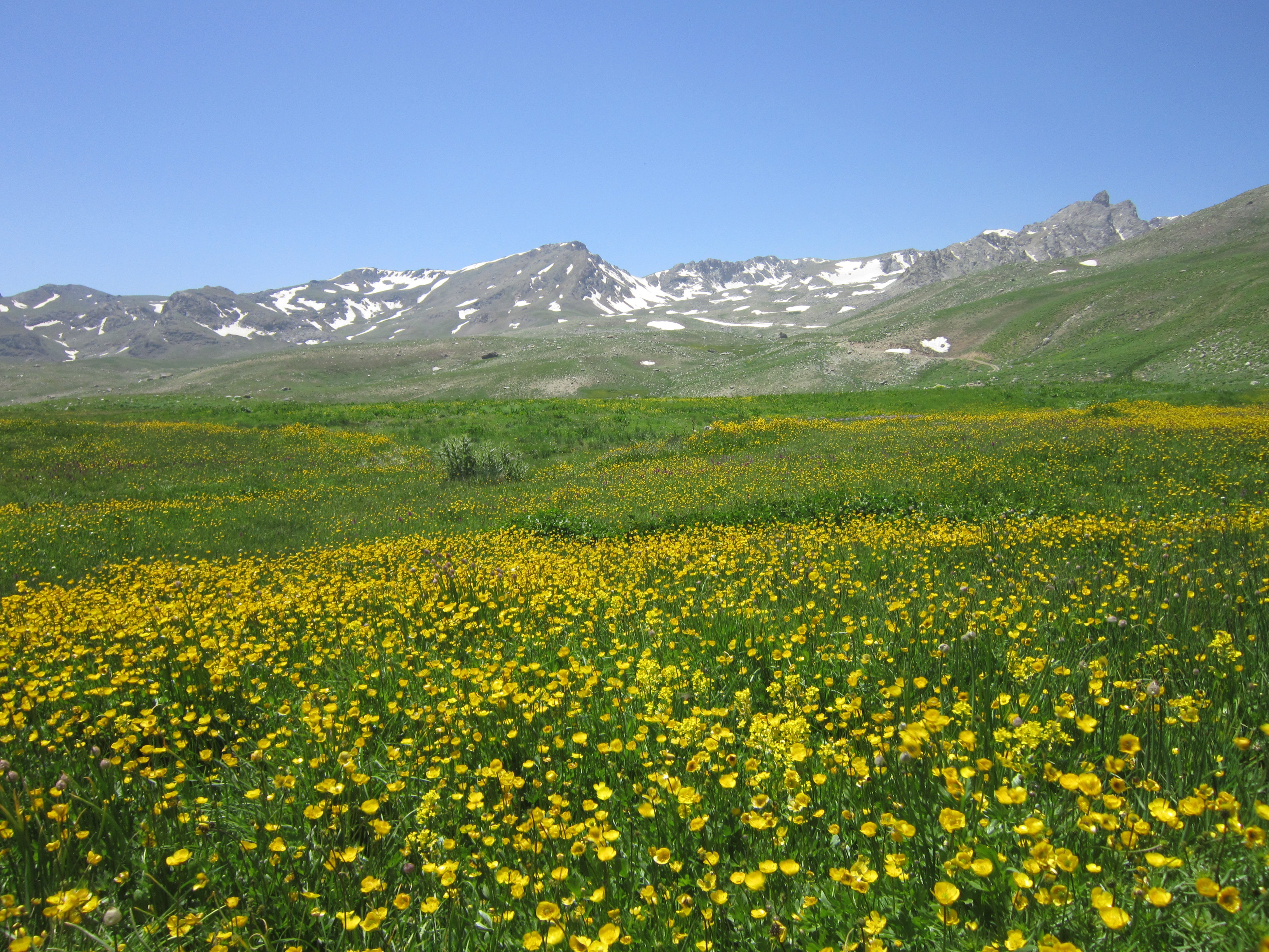 Berçelan Yaylası-1