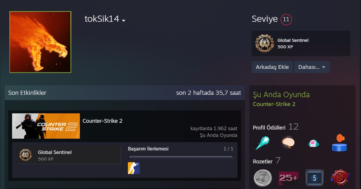 Sikan C S 1