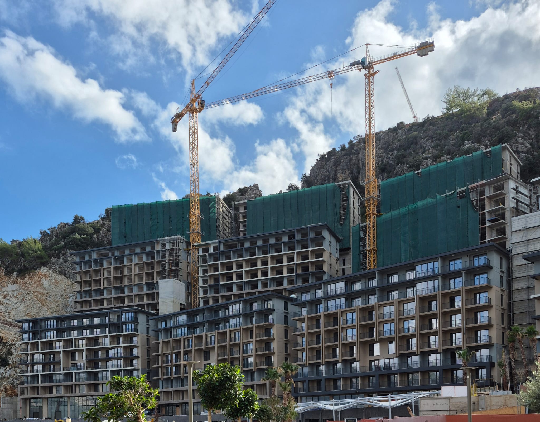 Whatsapp Image 2025 11 03 At 12.45.47