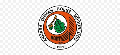 BEYPAZARI ORMAN İŞLETME MÜDÜRLÜĞÜ GÜDÜL ORMAN İŞLETME ŞEFLİĞİ HİZMET BİNASI, SOSYAL TESİS, LOJMANLAR VE DUBLEKS LOJMAN DOĞALGAZ DÖNÜŞÜMÜ İLE KAPIAĞZI YANGIN İLK MÜDAHALE BİNASI AMBAR VE GARAJ TADİLATI İŞİ