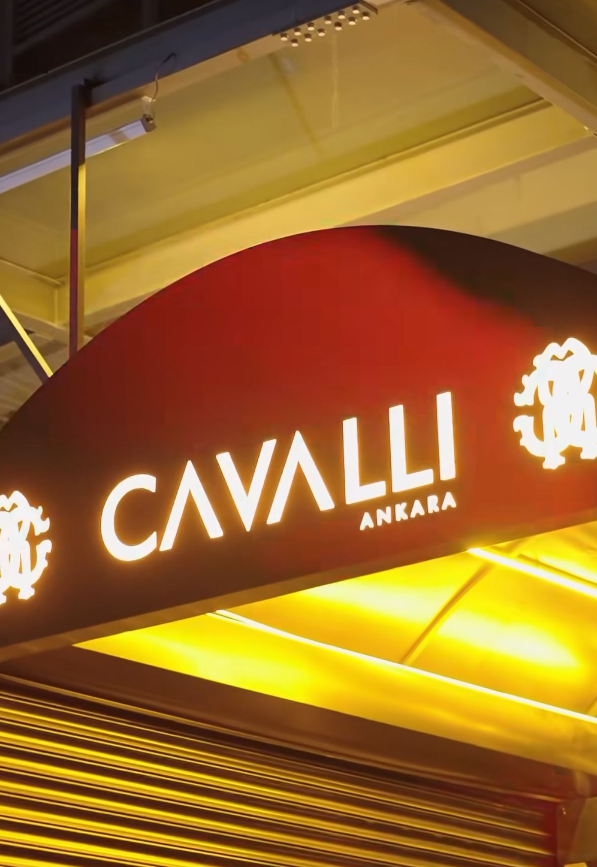 Cavalli