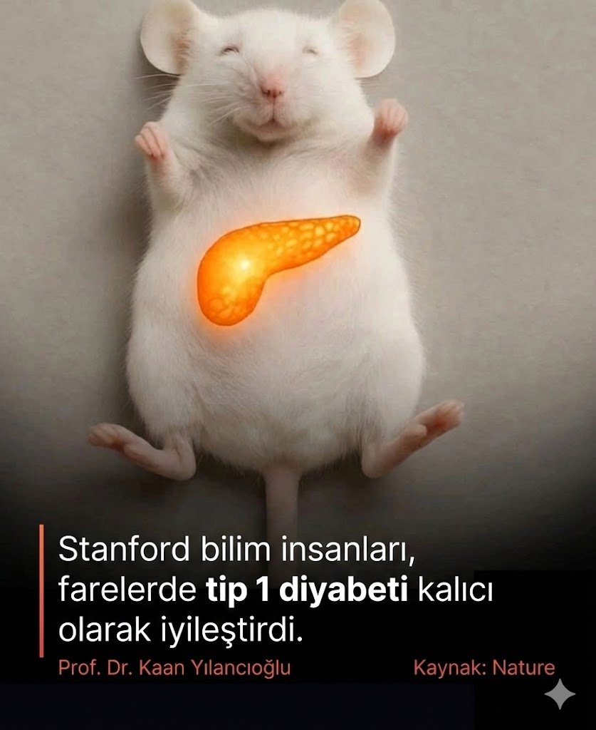 G7 U Qgza Xc A Av T Ay