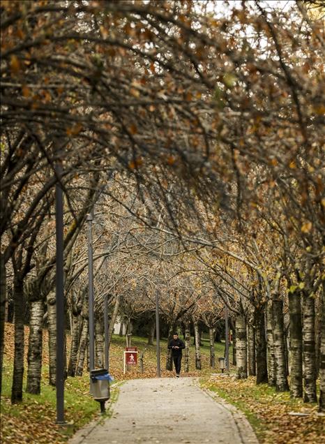 Whatsapp Image 2025 12 26 At 05.06.33