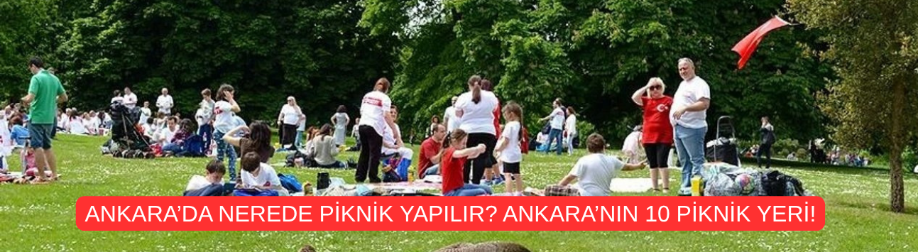 Ankara'da Nerede Piknik Yapılır? Ankara'nın 10 Piknik Yeri