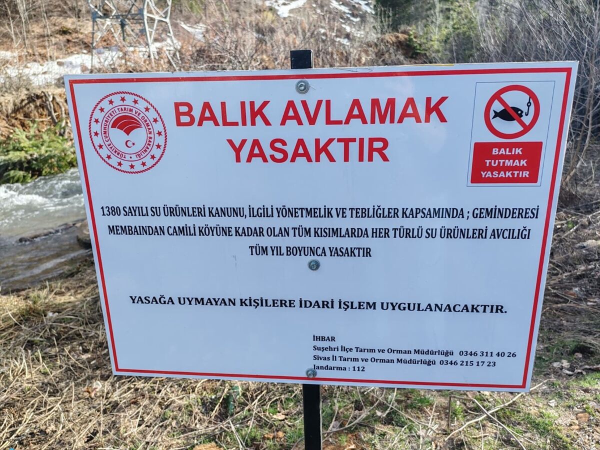 Geminbeli bölgesinde balık avı yasaklandı
