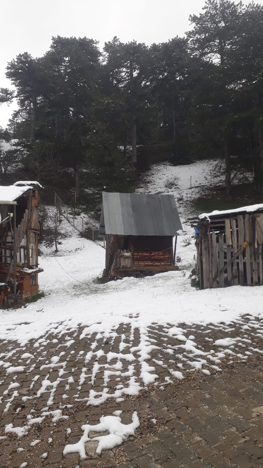 Nallıhan’ın yüksek kesimleri beyaza büründü