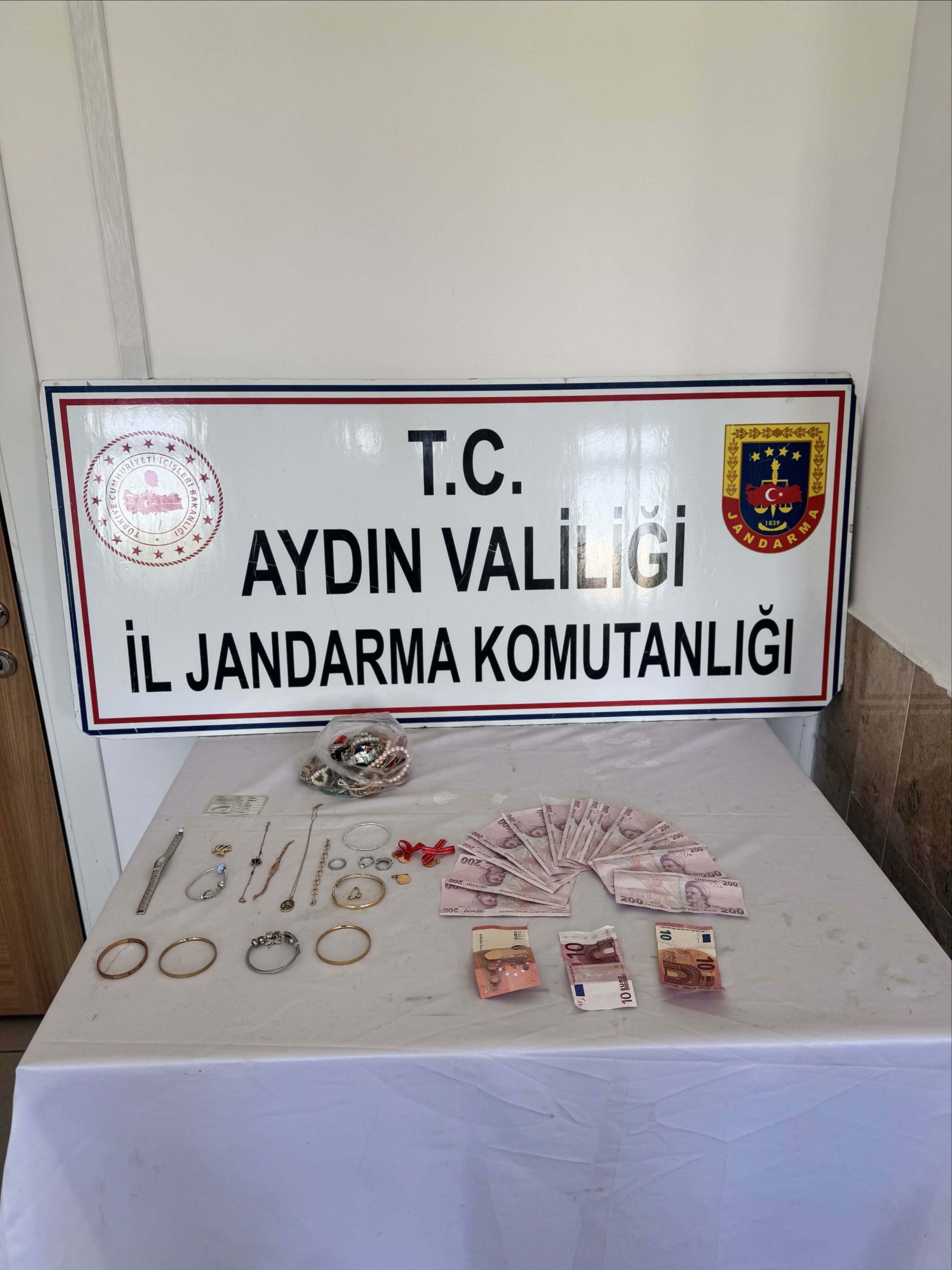 Aydın'da hırsızlık şüphelisi yakalandı