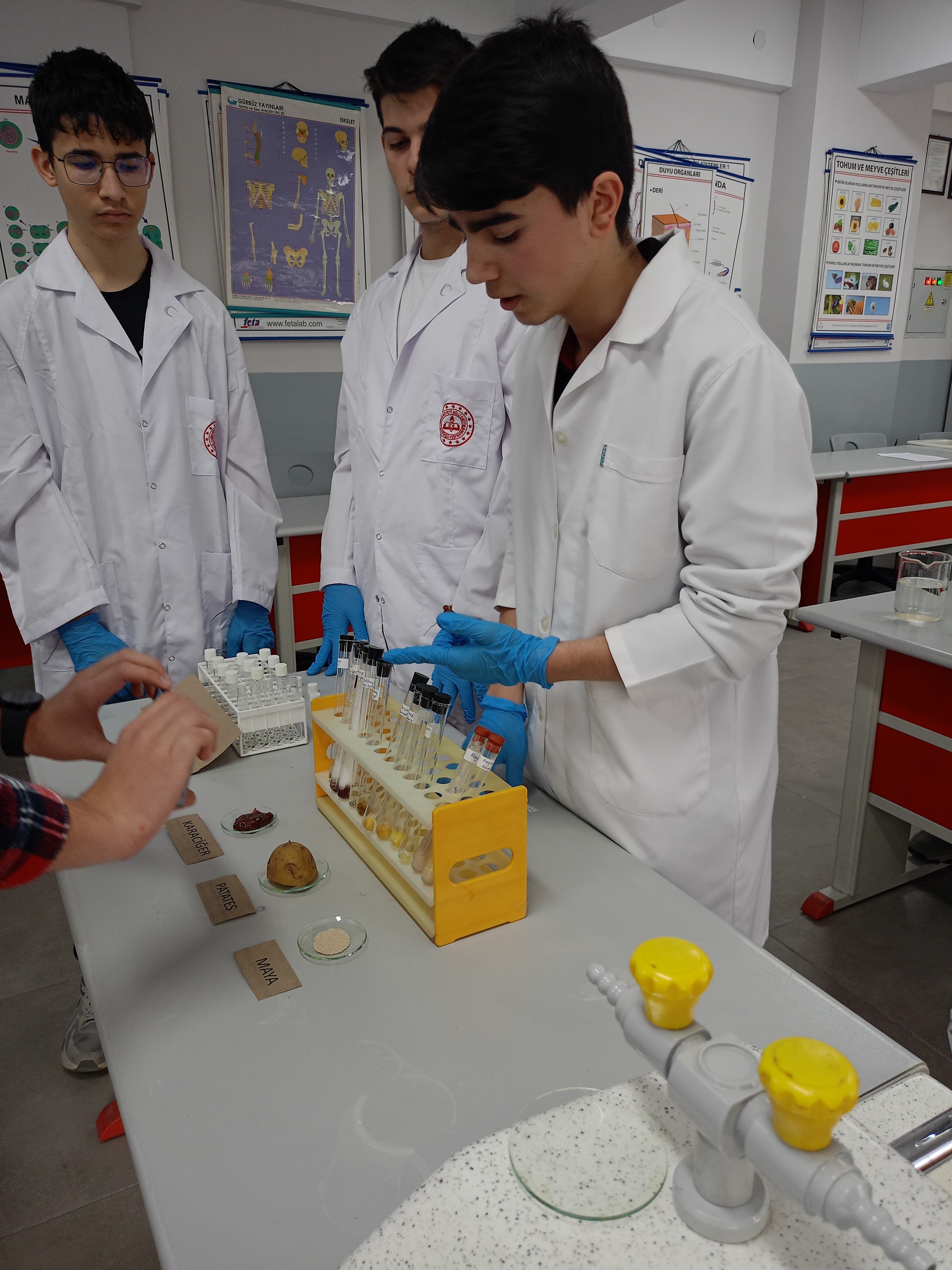 Whatsapp Image 2026 04 12 At 17.29.40