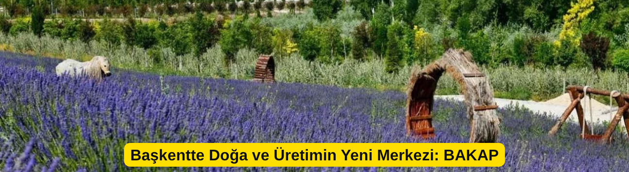 Başkentte Doğa ve Üretimin Yeni Merkezi: BAKAP