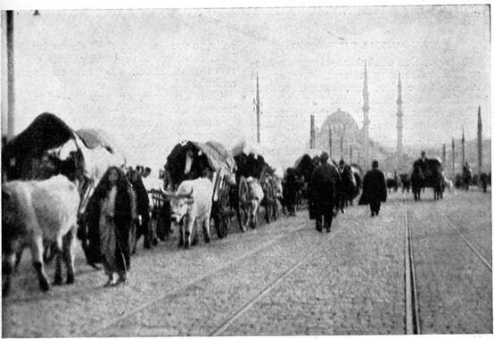 Birinci Balkan Savaşı 5