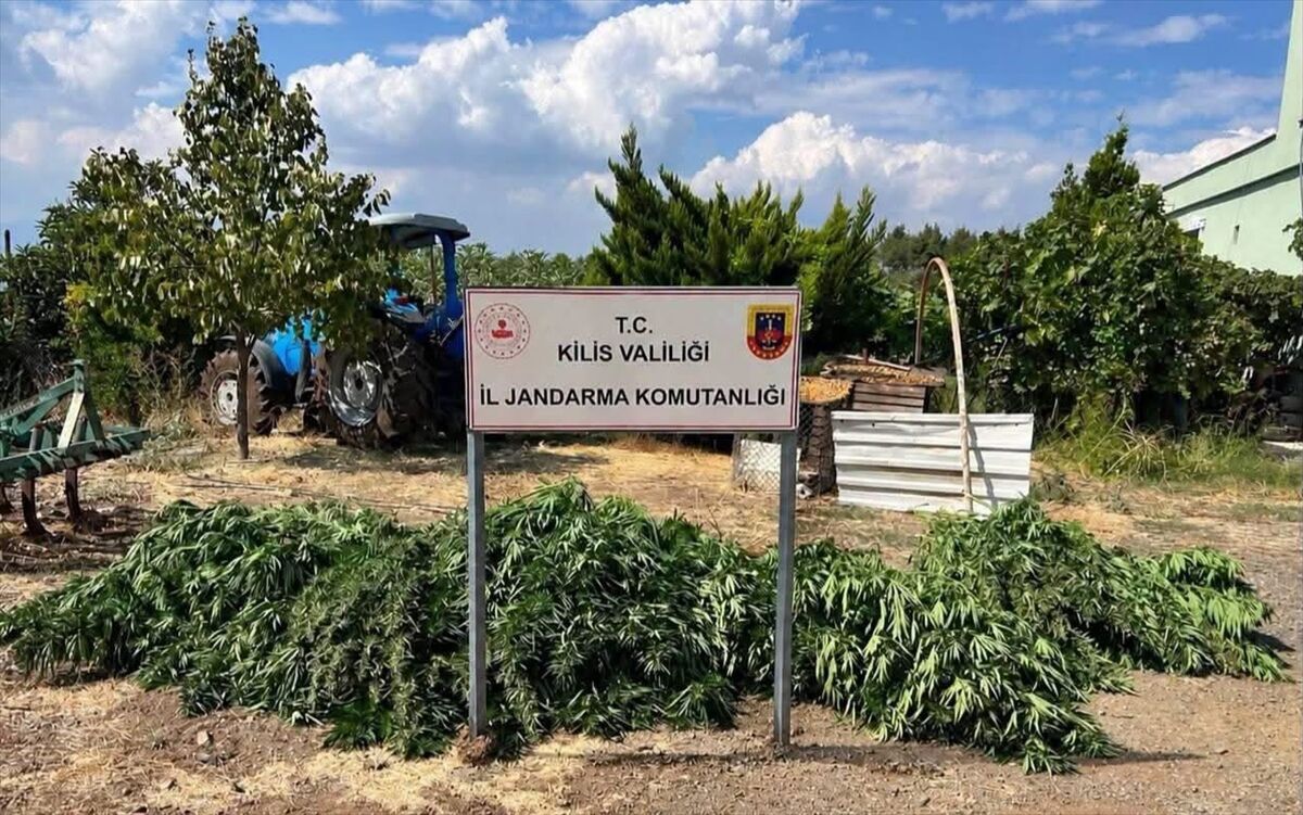 Kilis'te 40,5 kilogram esrar ele geçirildi