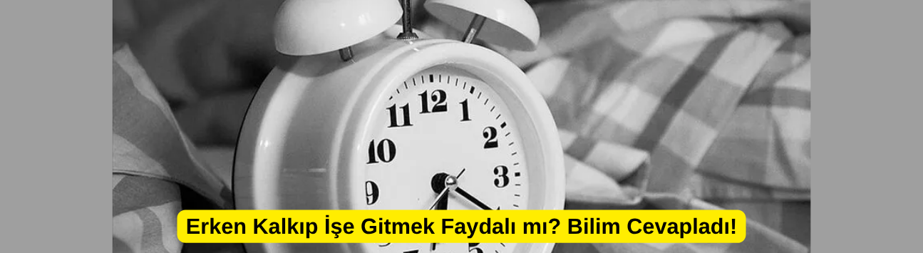 Erken Kalkıp İşe Gitmek Faydalı mı? Bilim Cevapladı!