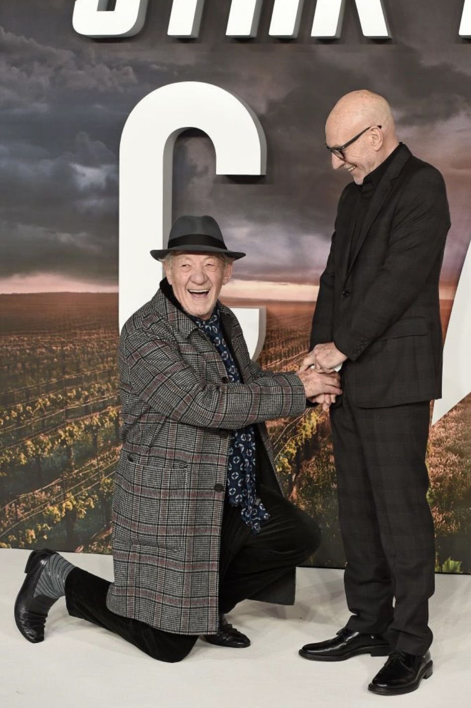 Ian Mckellen Patrick Stewart 1