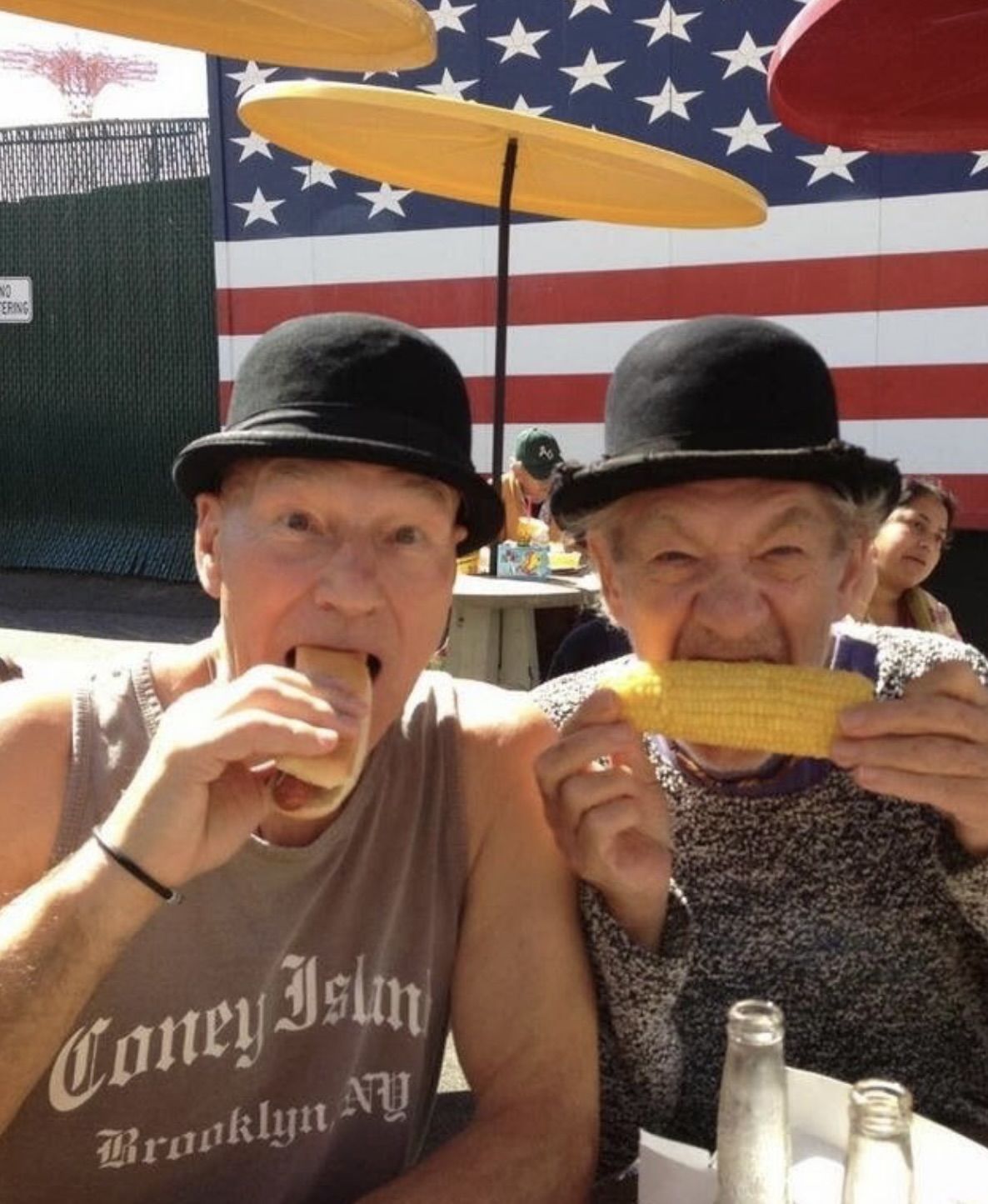 Patrick Stewart Ian Mckellen 1
