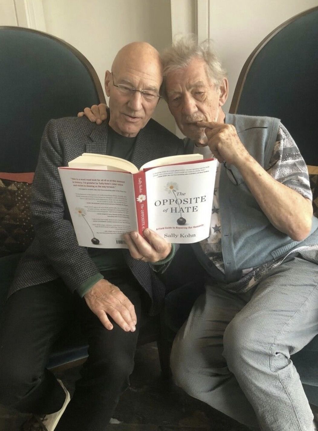 Patrick Stewart Ian Mckellen